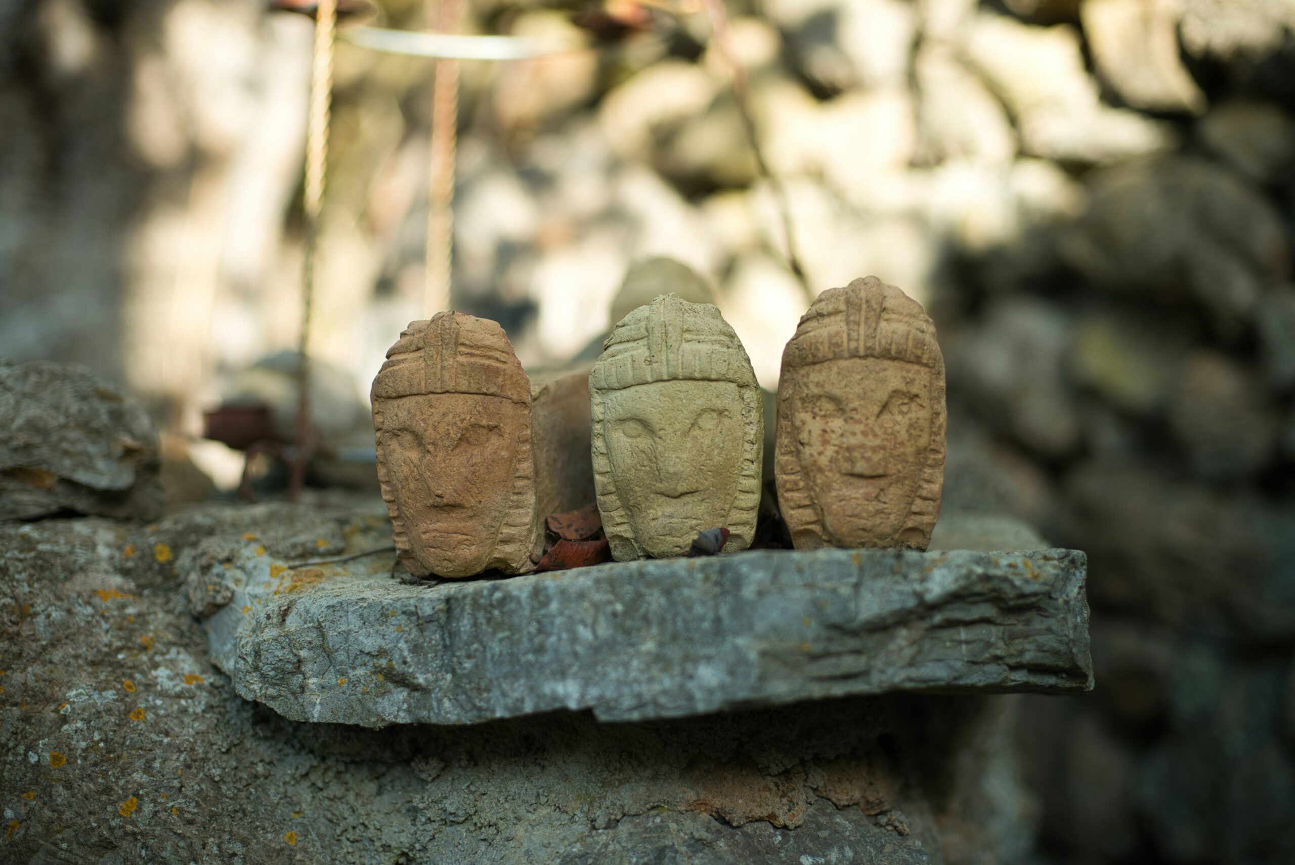 a group of brown objects on a rock